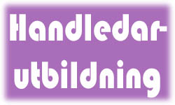 Handledarutbildning p� trafikskolor